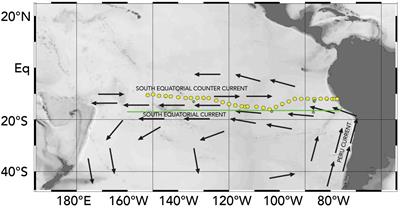 Seawater Carbonate Chemistry Distributions Across the Eastern South Pacific Ocean Sampled as Part of the GEOTRACES Project and Changes in Marine Carbonate Chemistry Over the Past 20 Years